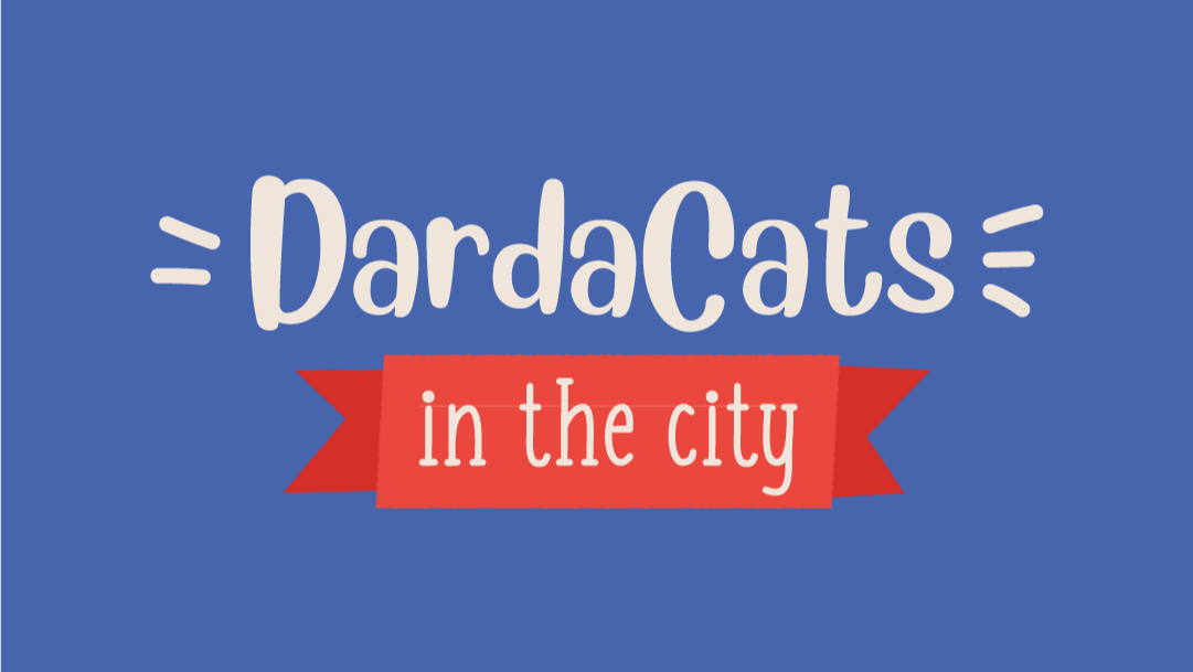 DardaCats in the City