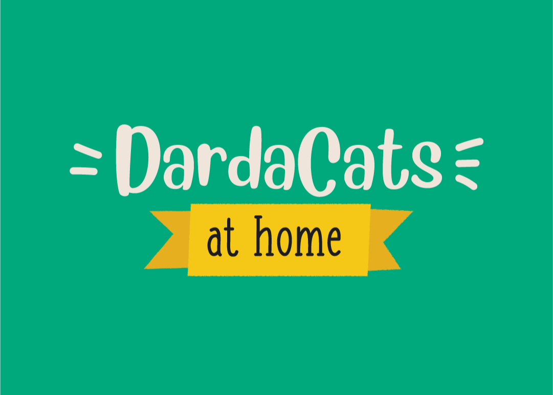 DardaCats at Home