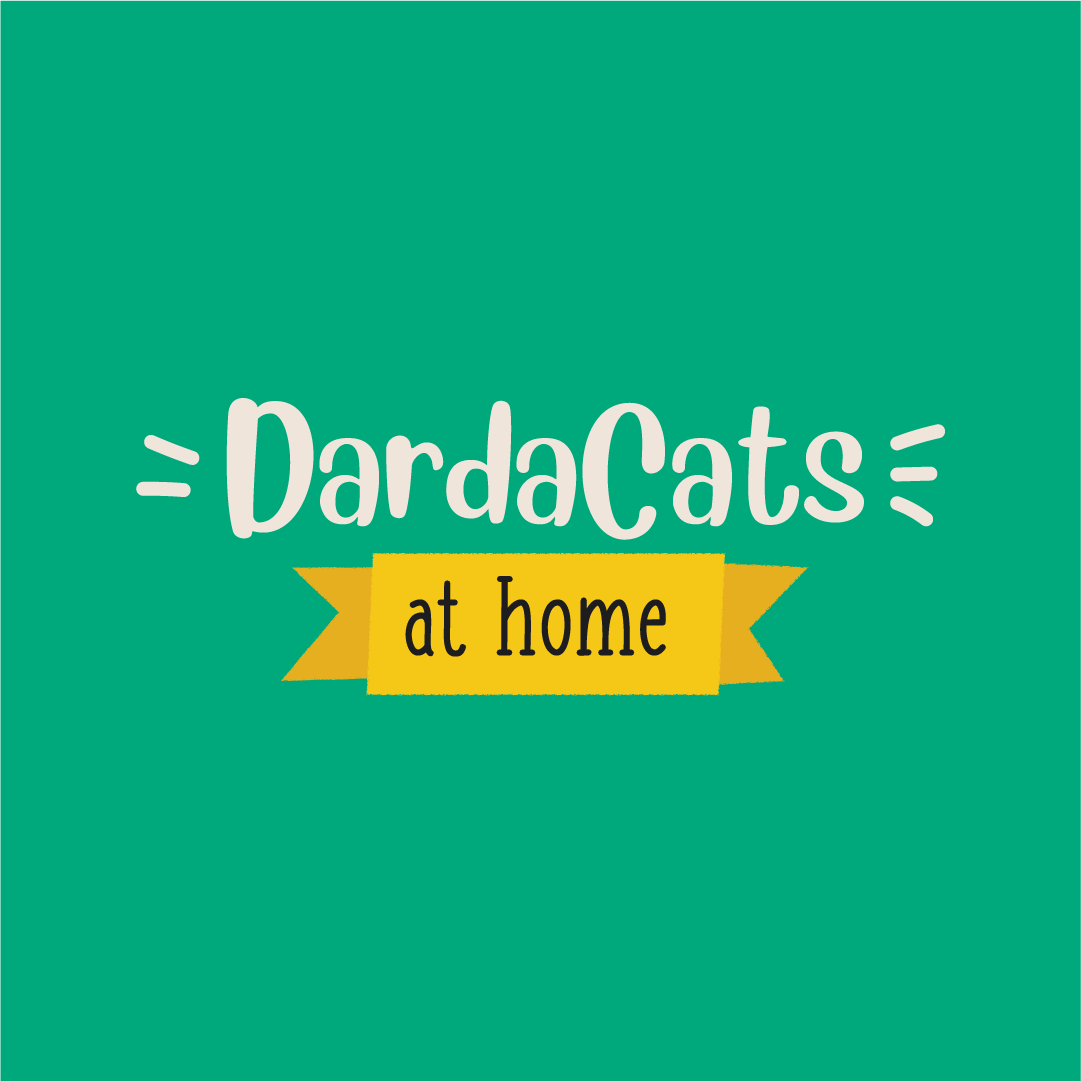 DardaCats at Home